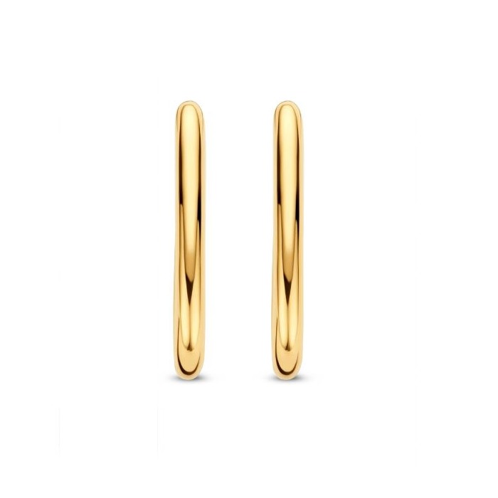 Juweel Ti Sento Milano Earrings 7902SY