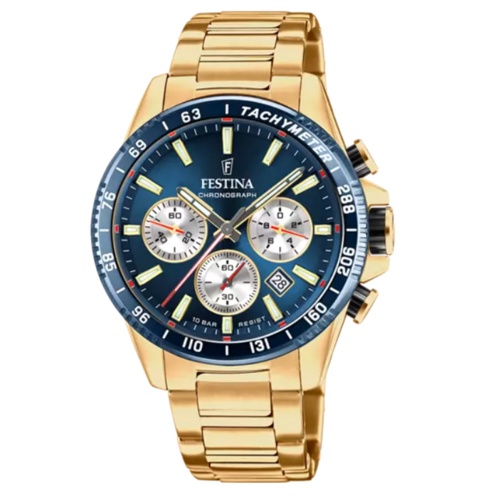 Horloge FESTINA TIMELESS F20634/2