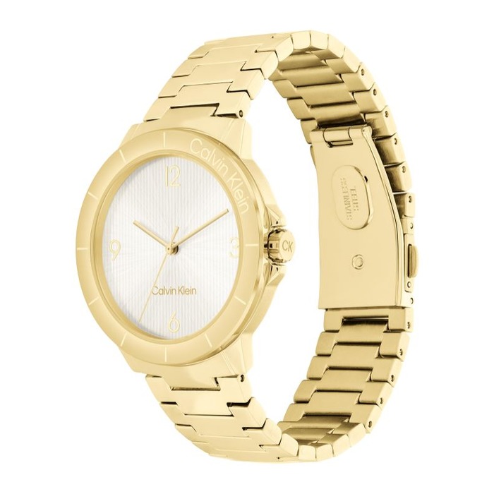 Horloge CALVIN KLEIN VIVACIOUS 25100023 