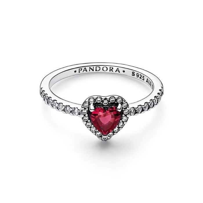 Juweel PANDORA TIMELESS RING 198421C02 