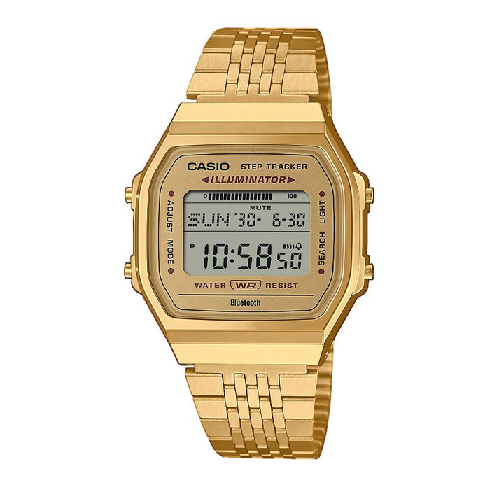 Horloge CASIO VINTAGE ABL-100WEG-9AEF 