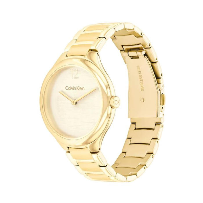 Horloge CALVIN KLEIN TIMELESS 25100048 