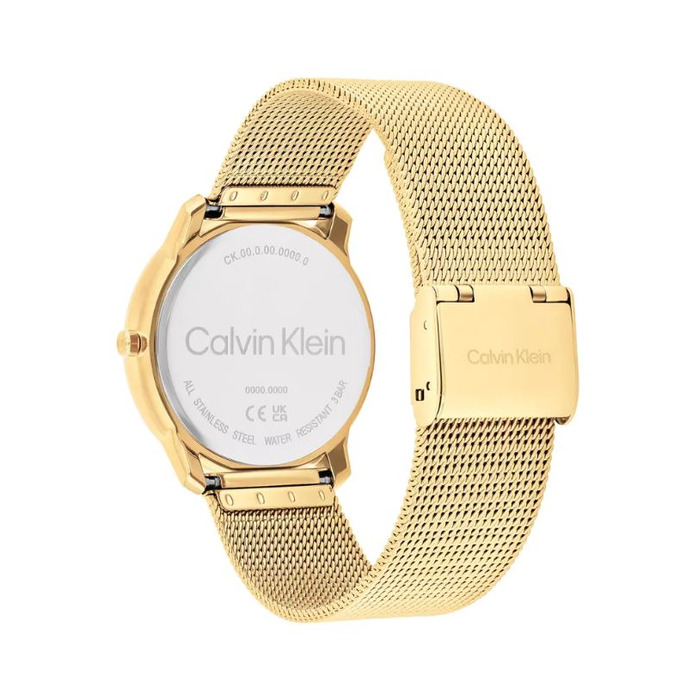 Horloge CALVIN KLEIN ICONIC 25300016 