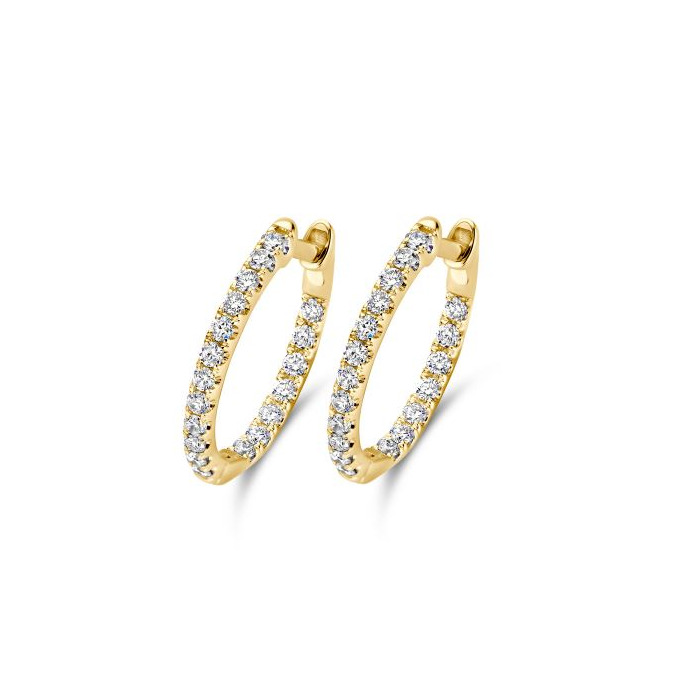 Juweel DAVICE EARRING HOOPS E50190 