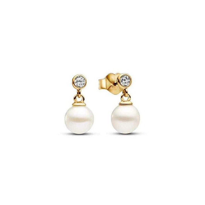 Juweel PANDORA DROP EARRINGS 263153C01 