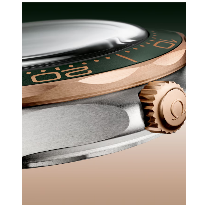 Omega_Seamaster_Diver_300_21090422010001_Juwelier_Clem_Vercammen_5.png